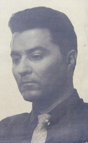 Slika 1
