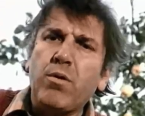 Svetolik Trpković Pufta (Velimir Bata Živojinović)