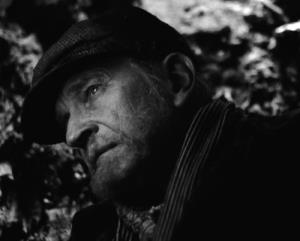 Svetozar Cvetković