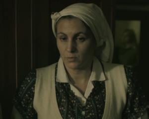 kuvarica (Danica Zdravić)