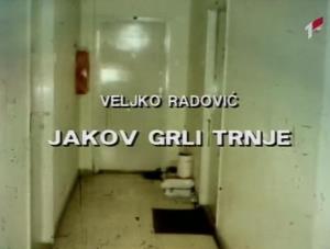 Čedo Vukanović