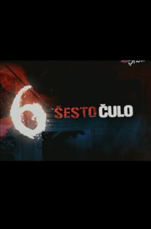ŠESTO ČULO (2010)