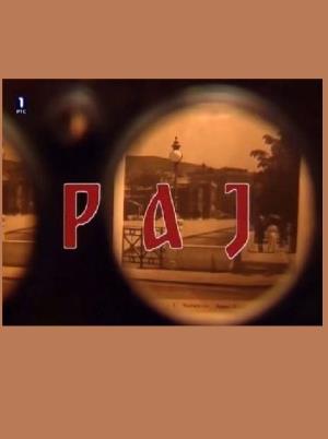 RAJ (1993)