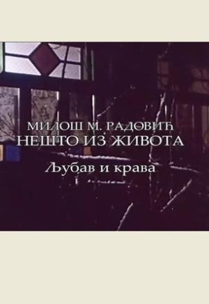 NEŠTO IZ ŽIVOTA (1980)