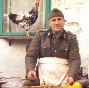 Velimir Bata Živojinović, Idemo dalje (1982)