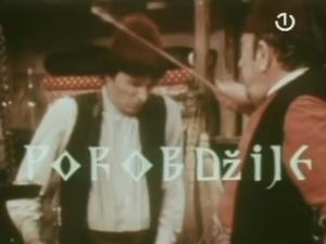Mahmut Mašo Topić