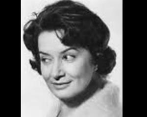 Desa Berić