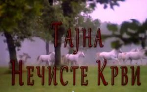 TAJNA NEČISTE KRVI (2012)