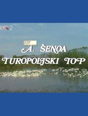 TUROPOLJSKI TOP (1981)