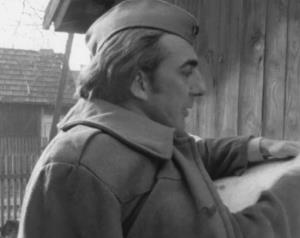 Ljubomir Ubavkić