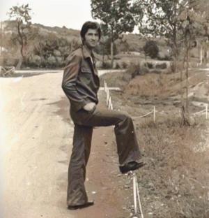 Ljubiša Samardžić, serija Morava 76 (1977)