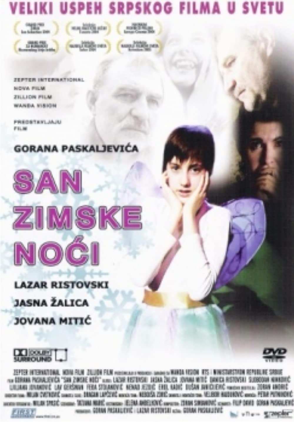 SAN ZIMSKE NOĆI