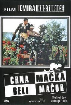 CRNA MAČKA BELI MAČOR