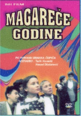 MAGAREĆE GODINE