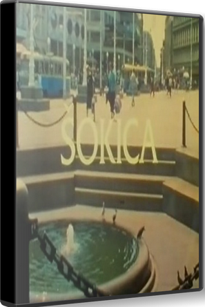 ŠOKICA