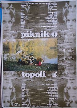 PIKNIK U TOPOLI