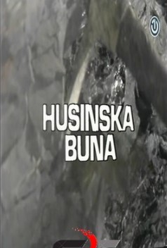 HUSINSKA BUNA