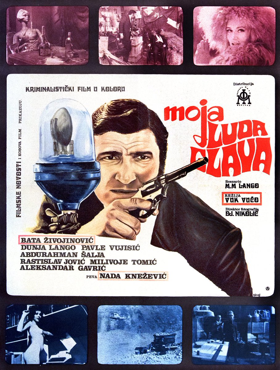 MOJA LUDA GLAVA