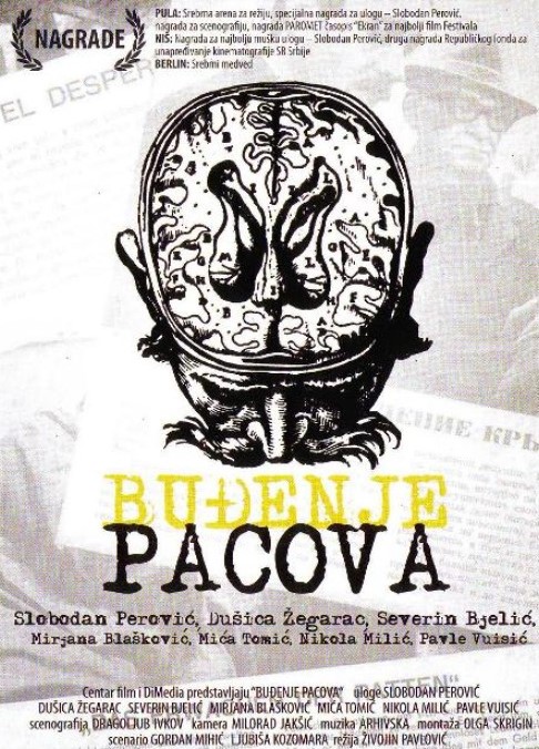 BUĐENJE PACOVA