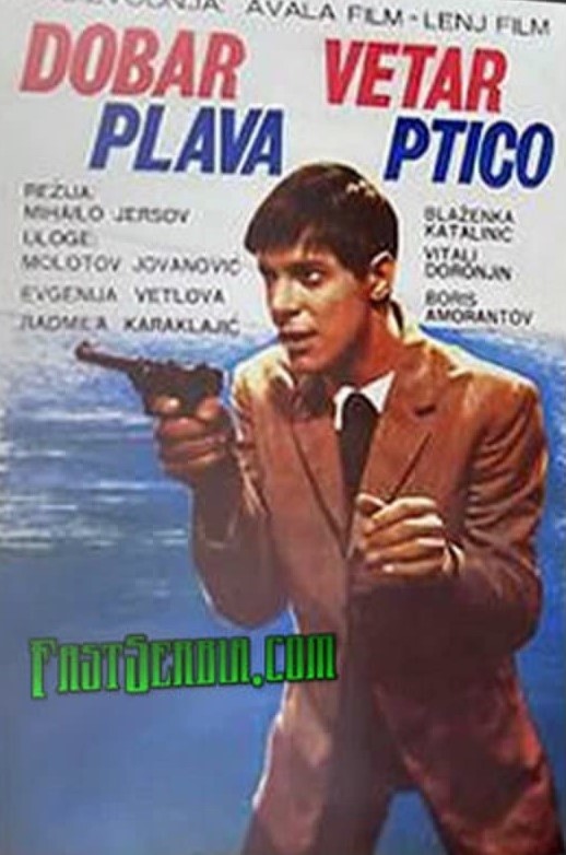 DOBAR VETAR PLAVA PTICO