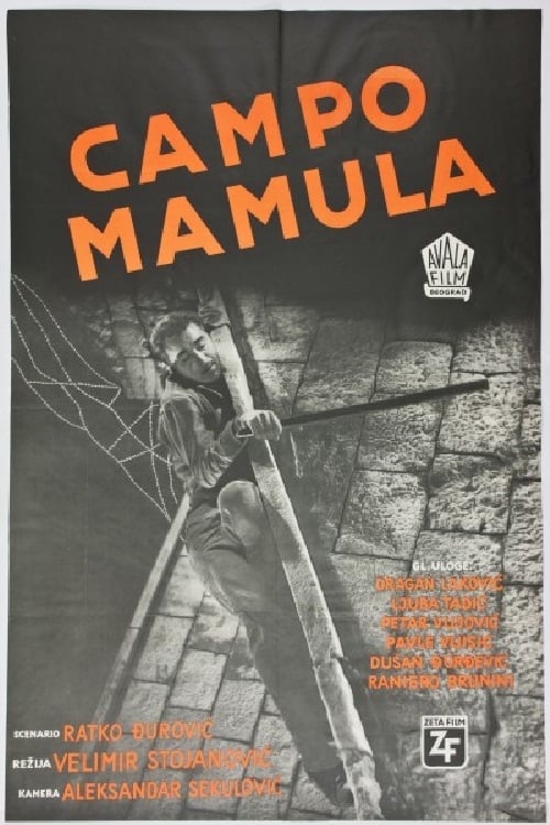 CAMPO MAMULA