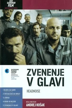ZVENENJE V GLAVI