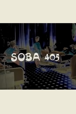 SOBA 405