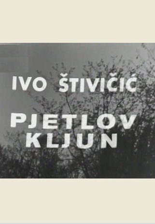 PIJETLOV KLJUN
