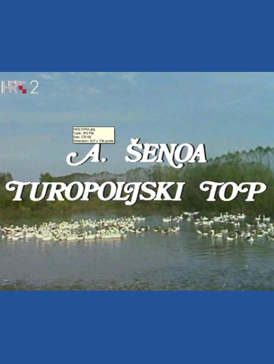 TUROPOLJSKI TOP